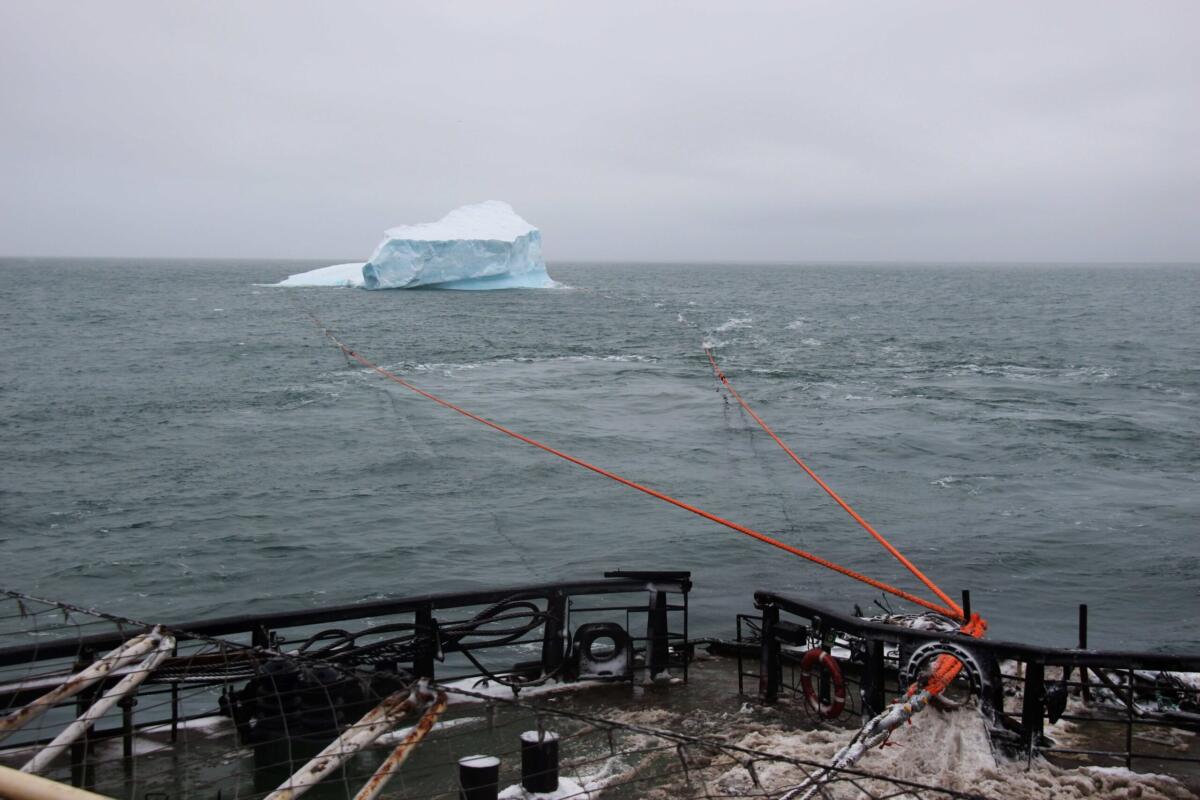 Iceberg Net Fabrication image