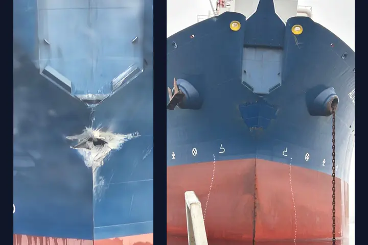 Altera Thule Emergency Repair image